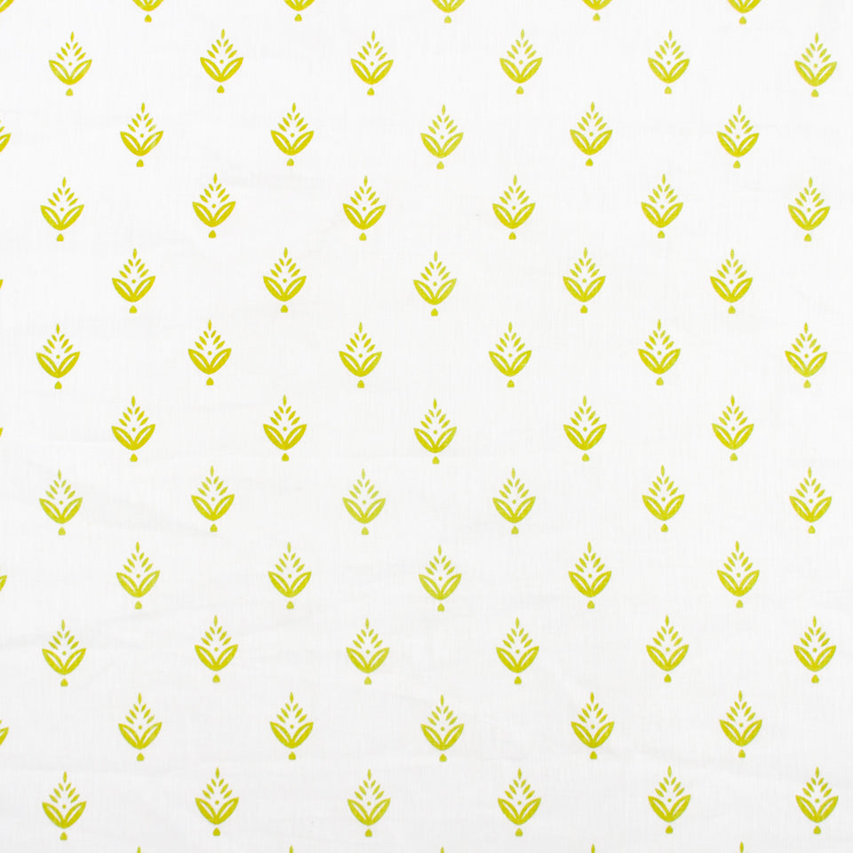 PONDEROSA PINE | CHARTREUSE