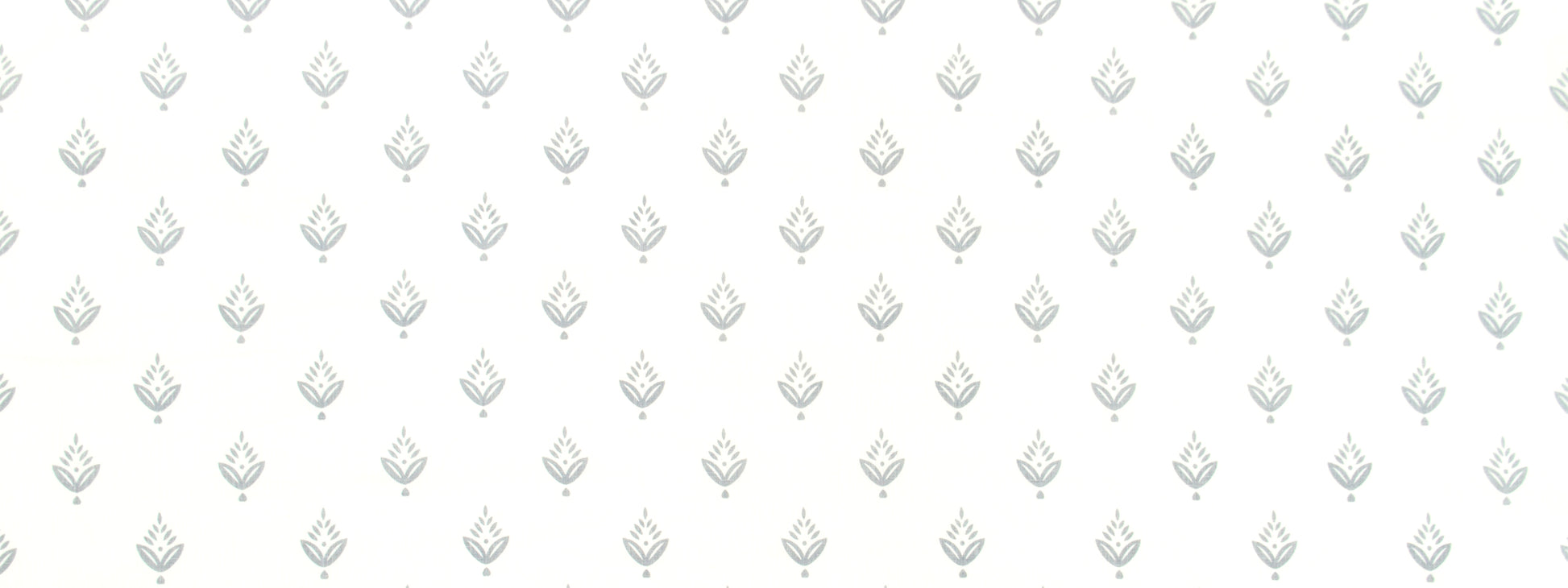 PONDEROSA PINE | IRIS