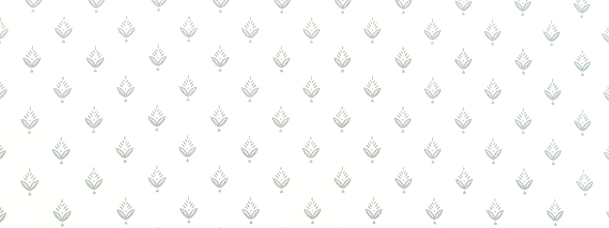 PONDEROSA PINE | IRIS