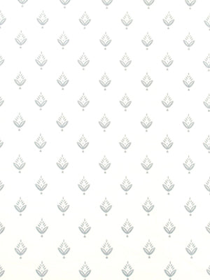 PONDEROSA PINE | IRIS