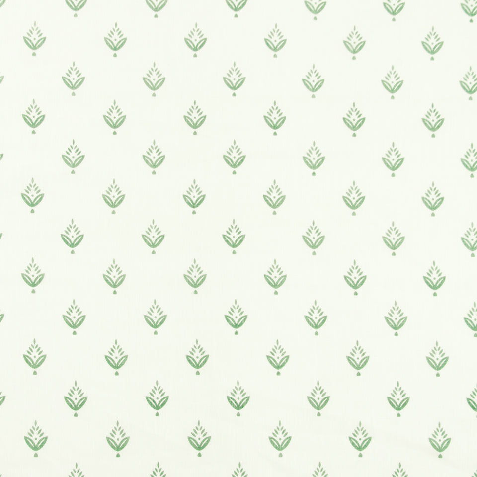PONDEROSA PINE | DEW