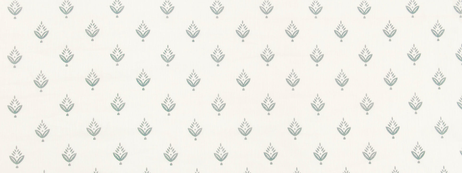 PONDEROSA PINE | FOUNTAIN