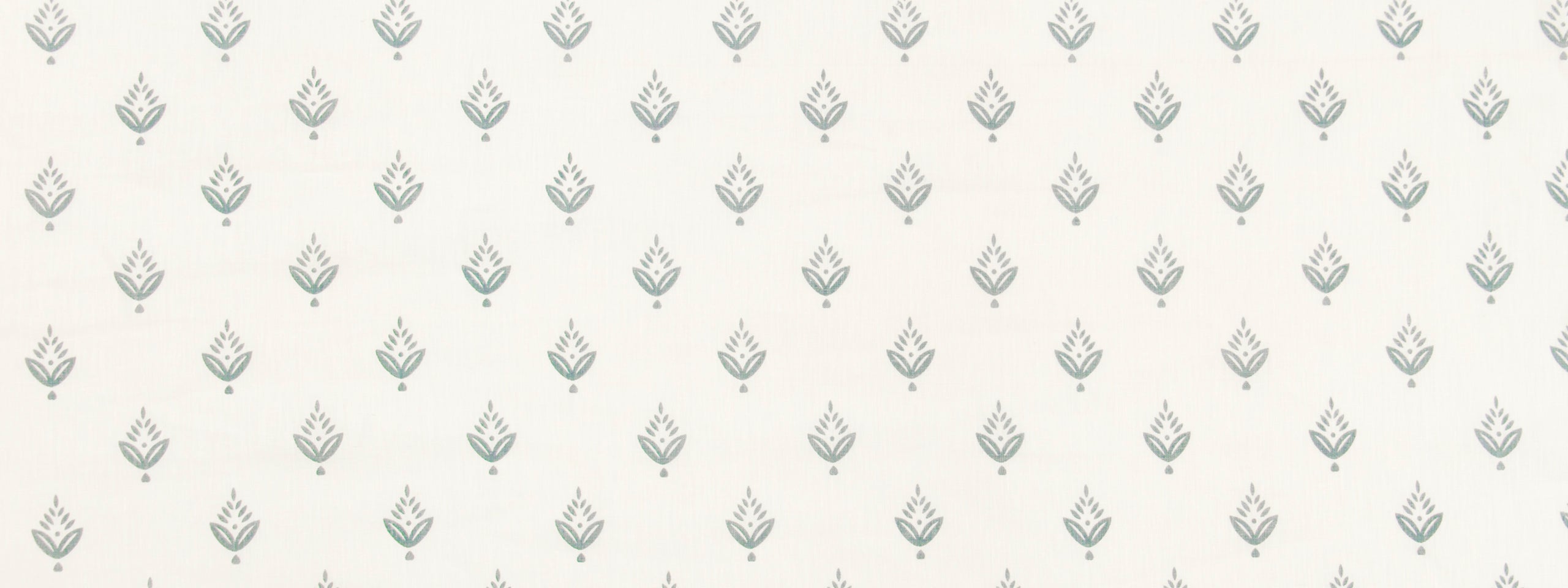 PONDEROSA PINE | FOUNTAIN