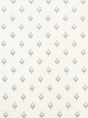 PONDEROSA PINE | FOUNTAIN