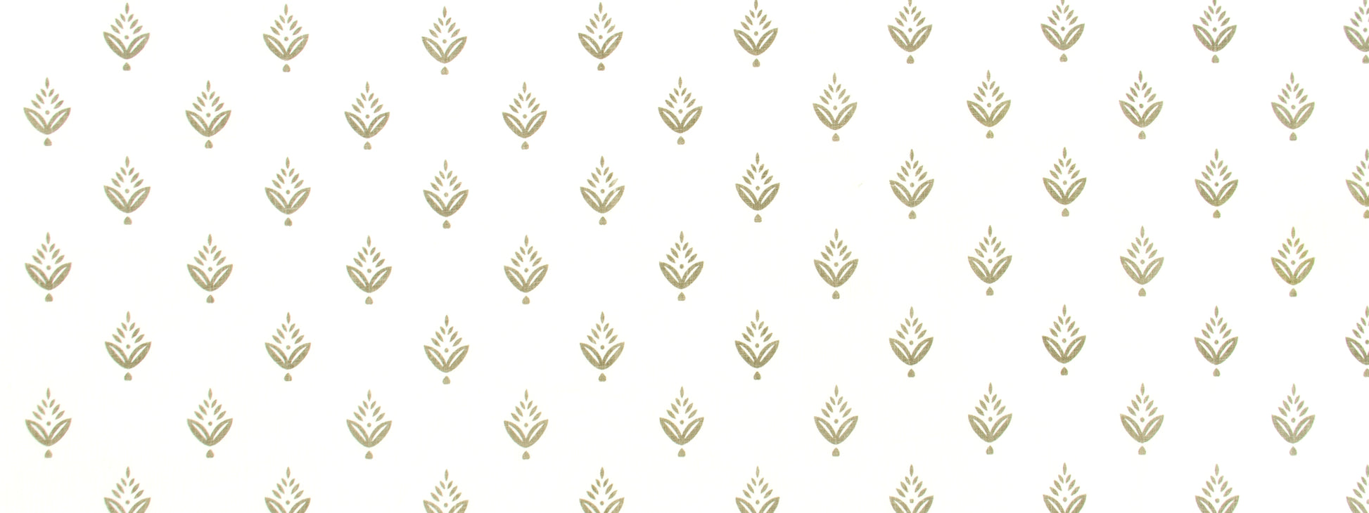 PONDEROSA PINE | ZINC