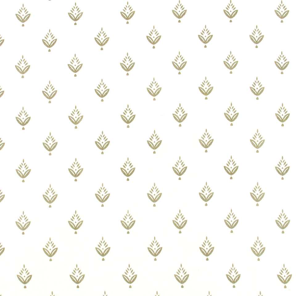 PONDEROSA PINE | ZINC