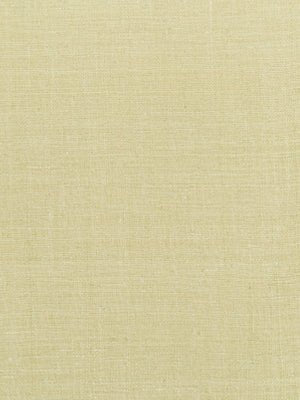 CARTIER | LEMONGRASS - Multi-purpose
