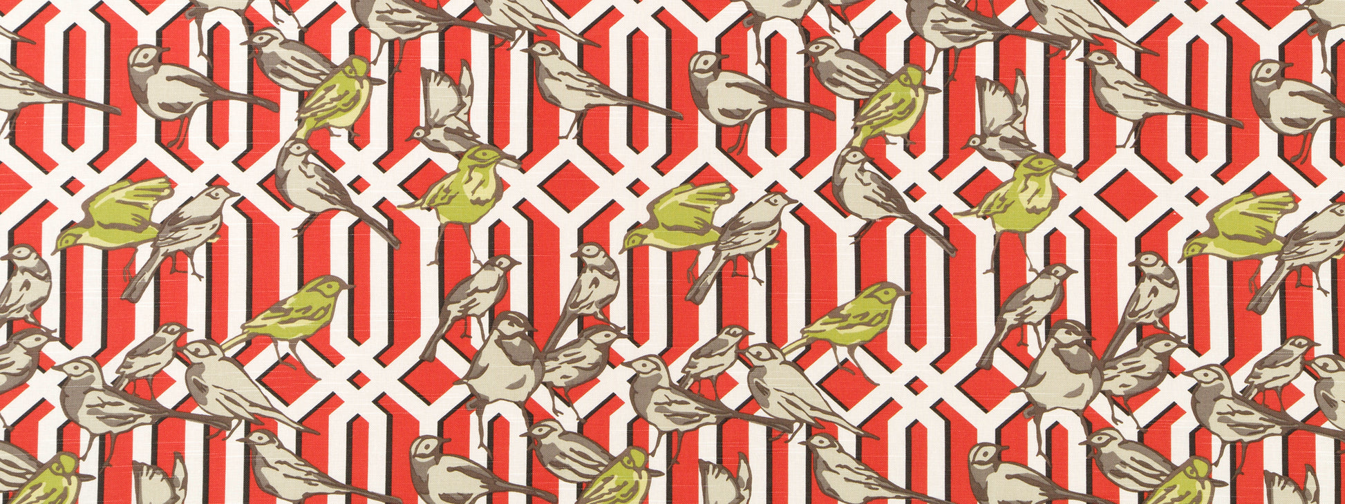 AVIARY TRELLIS | POPPY