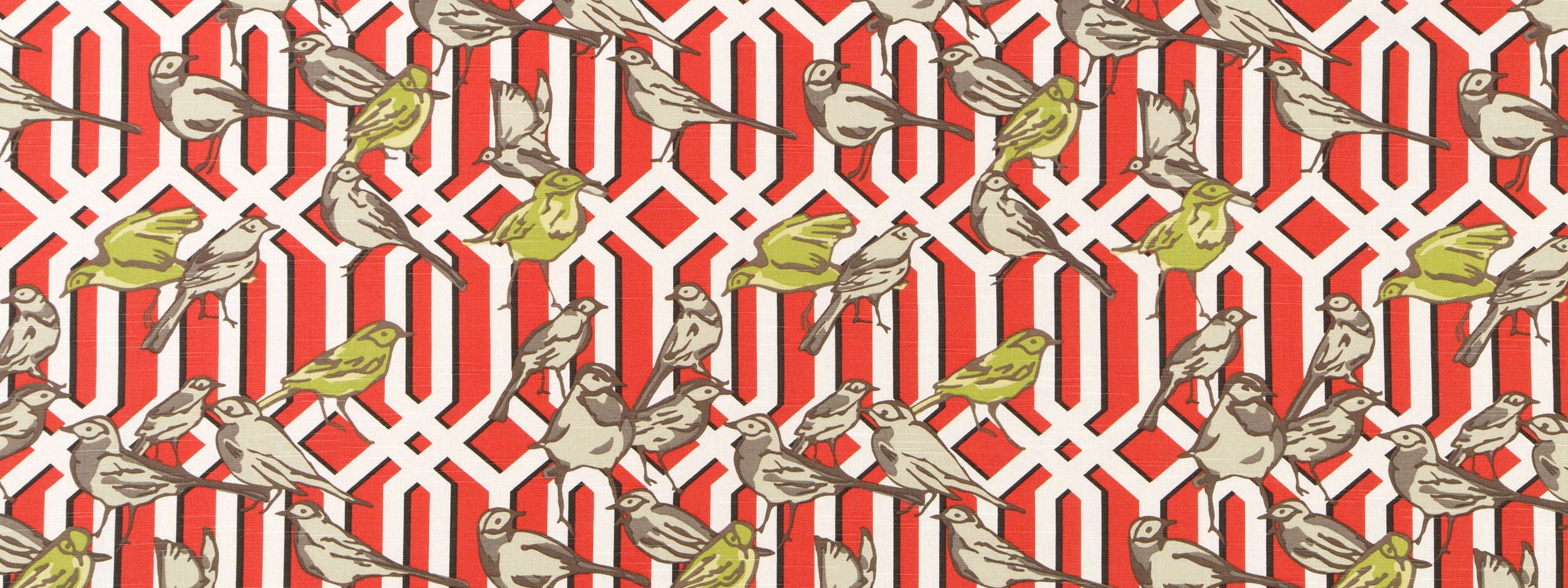 AVIARY TRELLIS | POPPY
