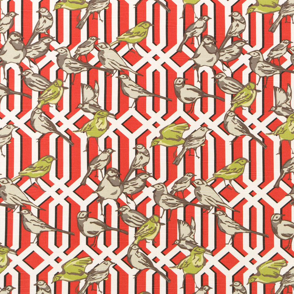 AVIARY TRELLIS | POPPY