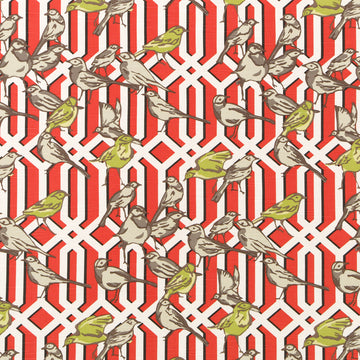 AVIARY TRELLIS | POPPY