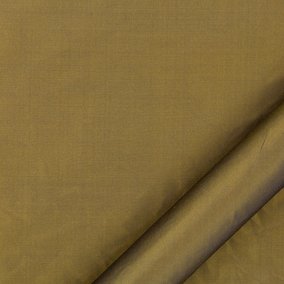 Kerala | Tigers Eye