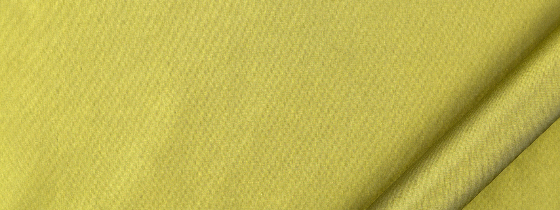 Kerala | Olive