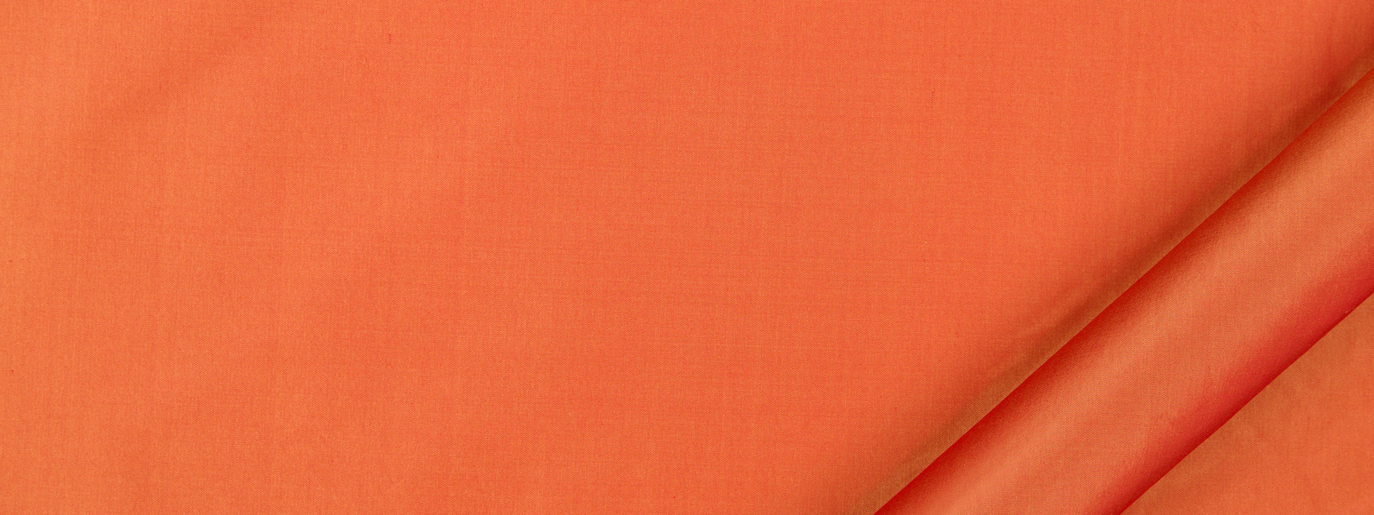 Kerala | Saffron