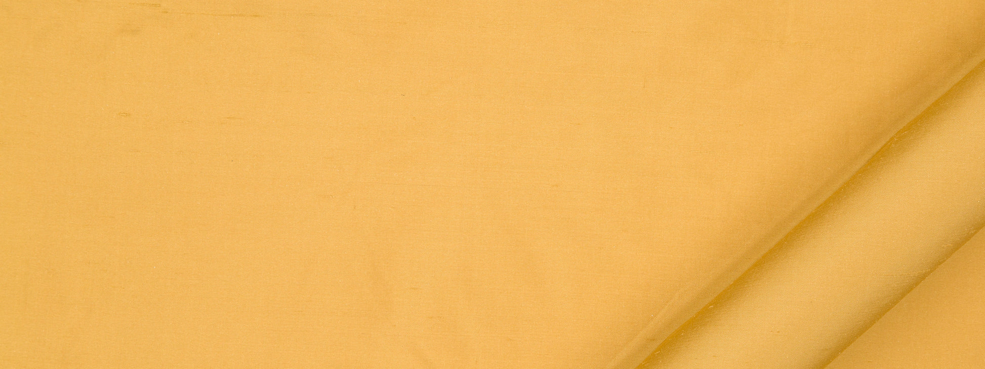 Allepey | Mustard