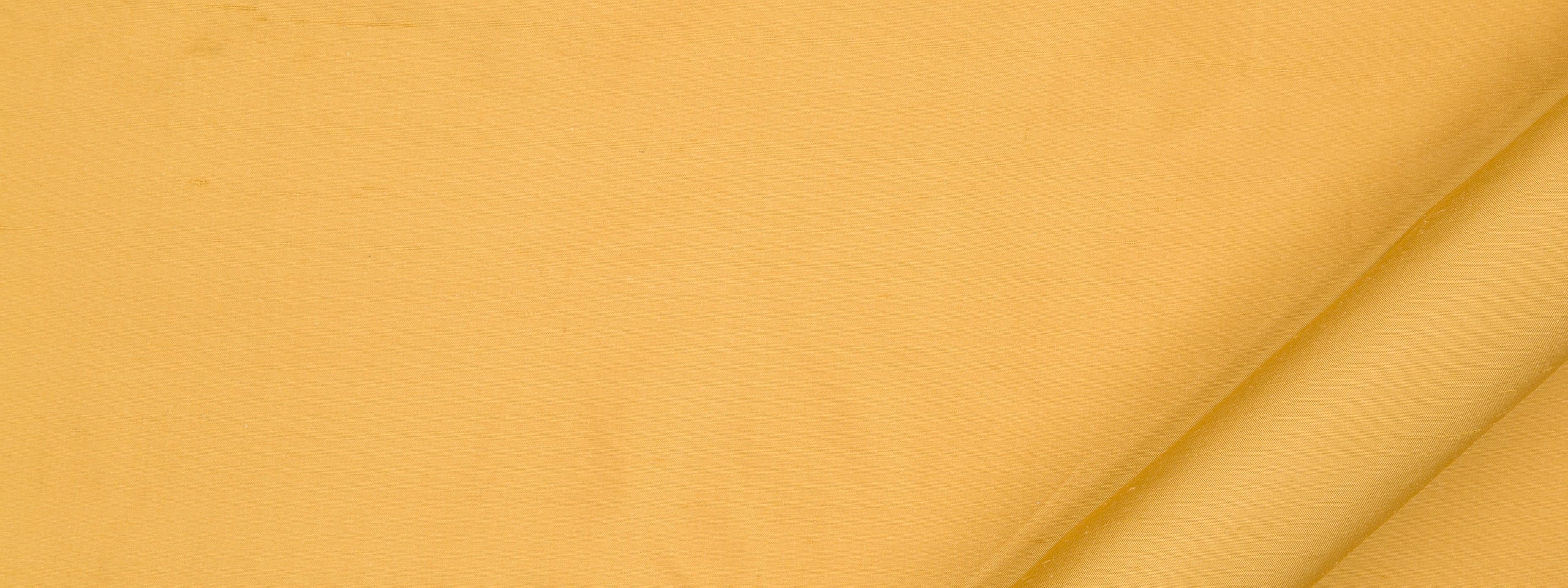 Allepey | Mustard