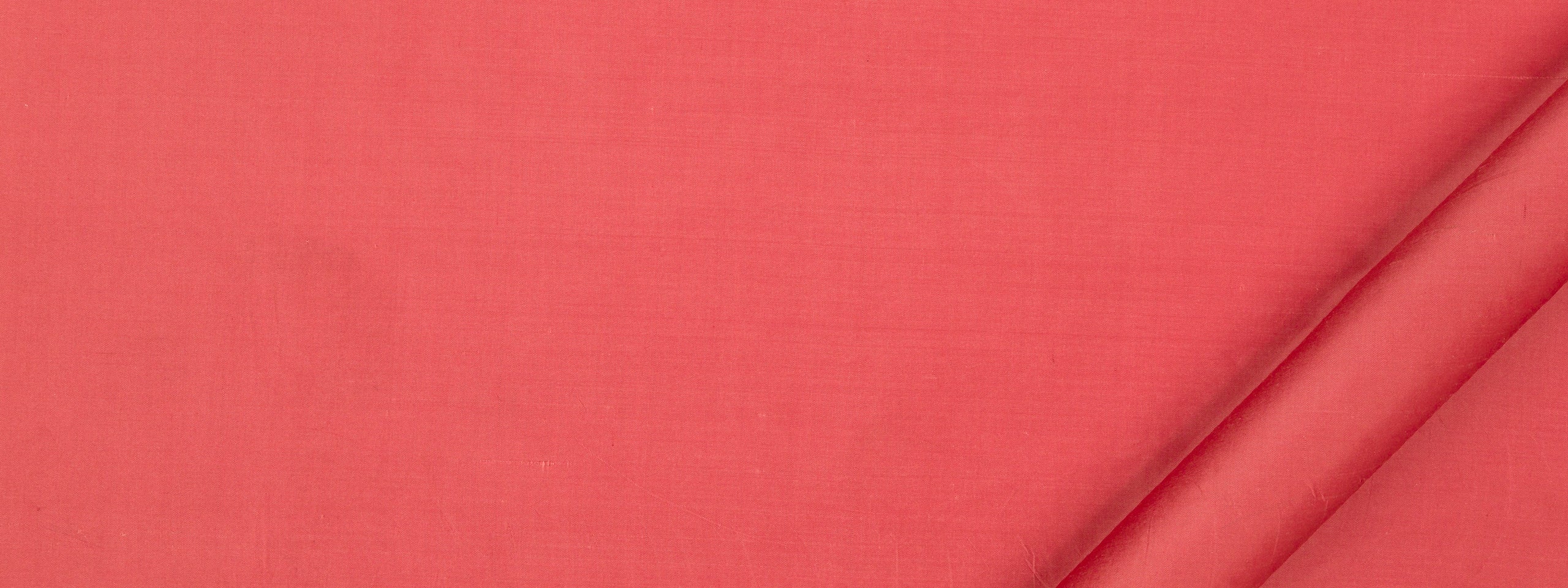 Allepey | Coral