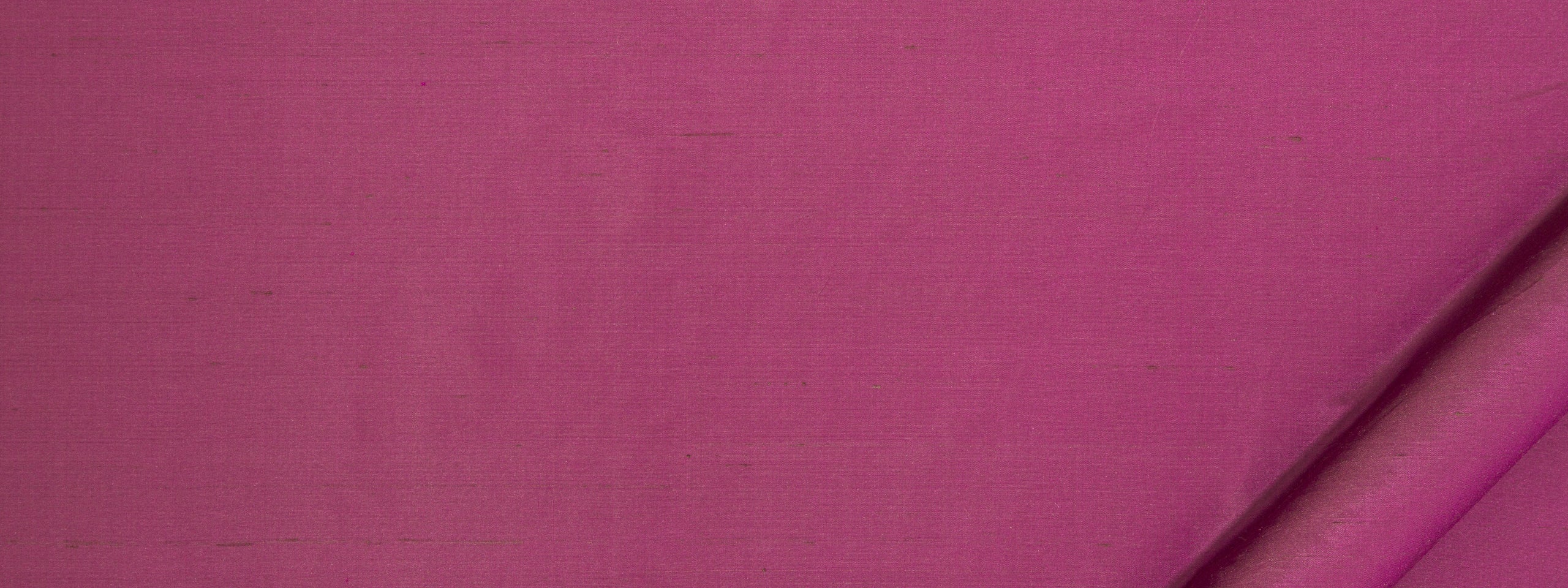 Allepey | Aubergine