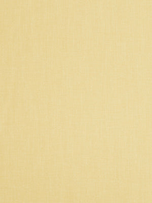 SUBTLE MOOD | AMBER