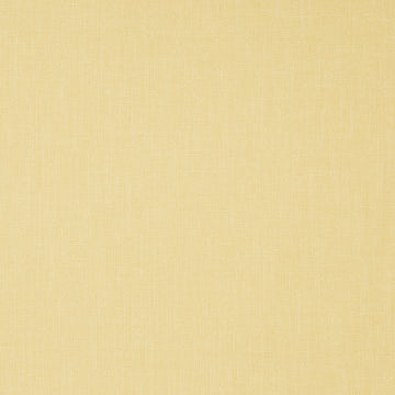 SUBTLE MOOD | AMBER