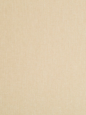 SUBTLE MOOD | GRAIN