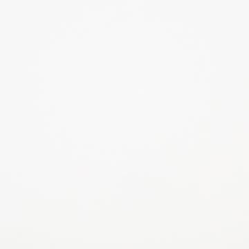 SUBTLE MOOD | WHITEWASH