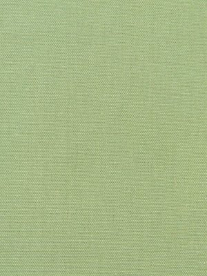 STELLAR SOLID | ALOE - Multi-purpose