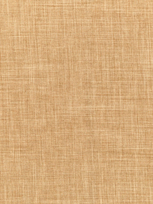 DESERT HILL | PRALINE