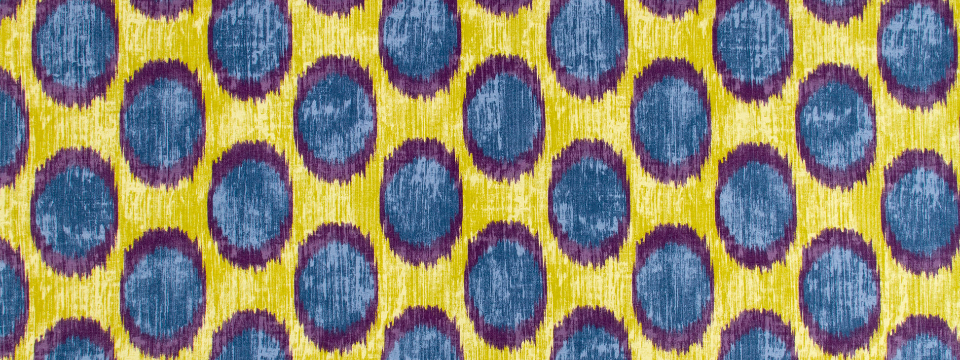 PEACOCK OCELLI | IRIS