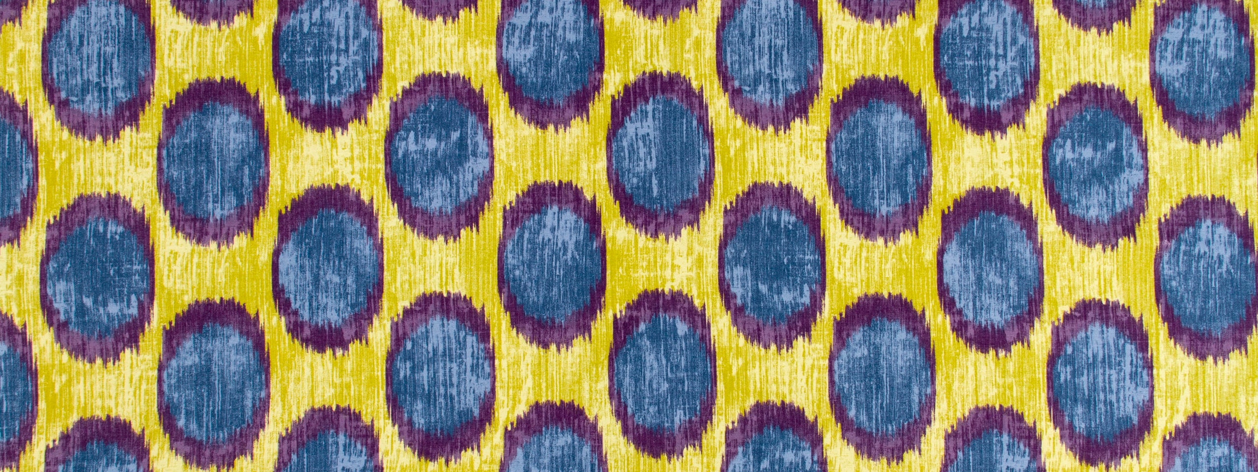 PEACOCK OCELLI | IRIS