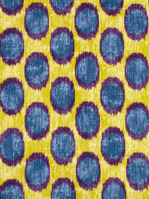PEACOCK OCELLI | IRIS