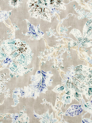 MYSTIC FOREST | IRIS