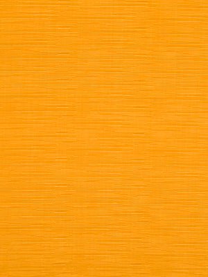 In The Groove | Papaya - Upholstery - Fabric