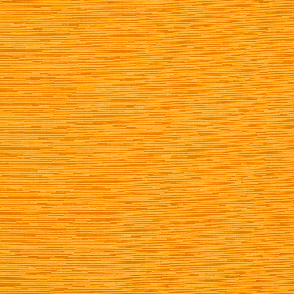 In The Groove | Papaya