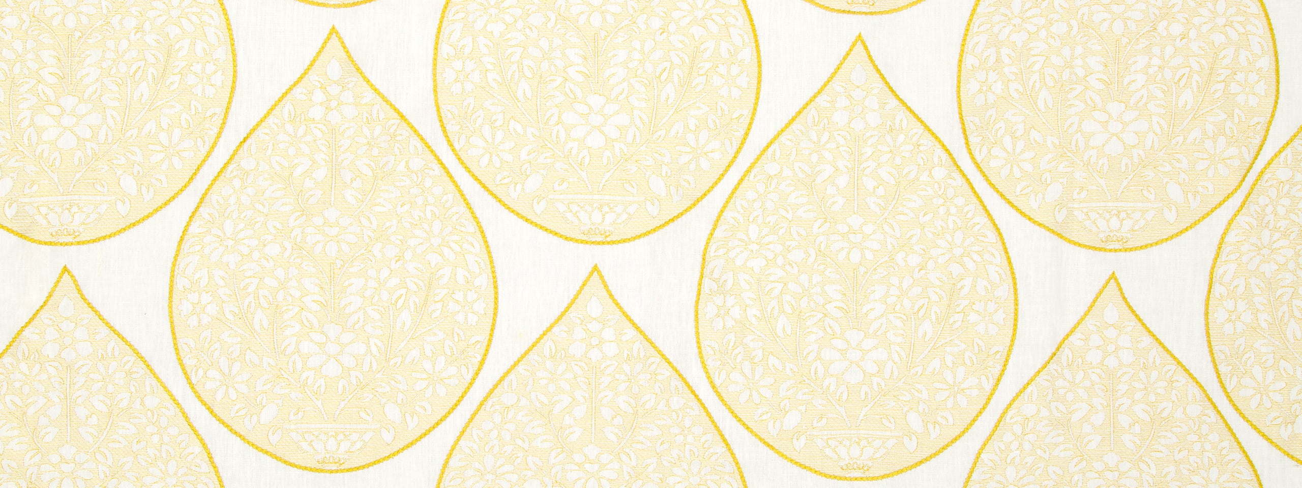 BOTTLE GARDEN | LEMON