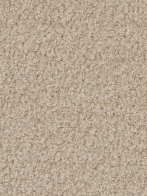 Marco Boucle | Travertine