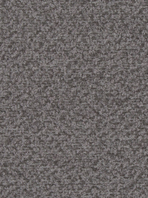 Marco Boucle | Pewter