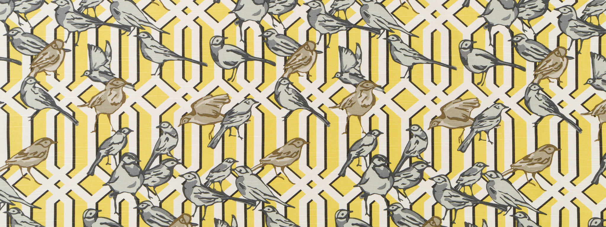 AVIARY TRELLIS | CITRINE