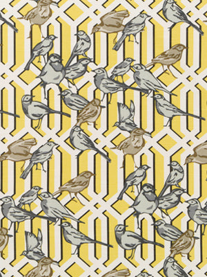 AVIARY TRELLIS | CITRINE