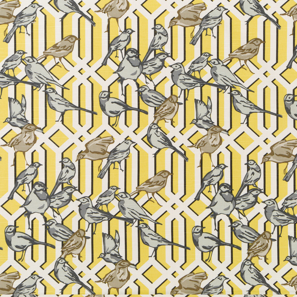 AVIARY TRELLIS | CITRINE