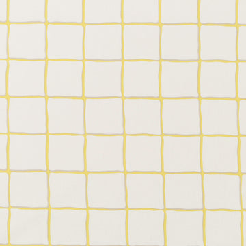 PAINTED CHECK | CITRINE