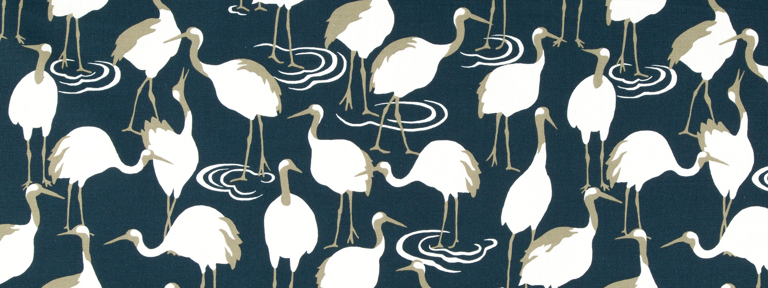 WINTER CRANE | ADMIRAL