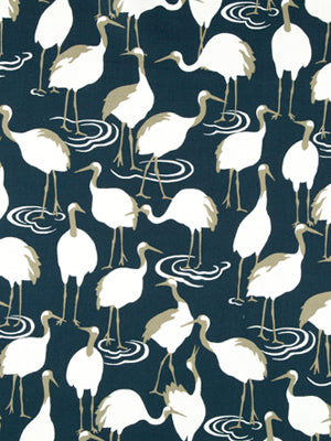 WINTER CRANE | ADMIRAL