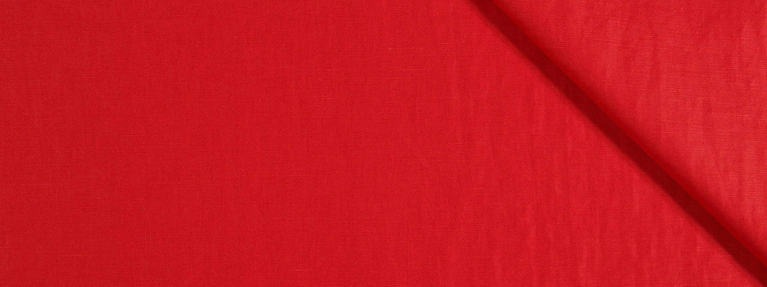 Regency Chintz | Poppy