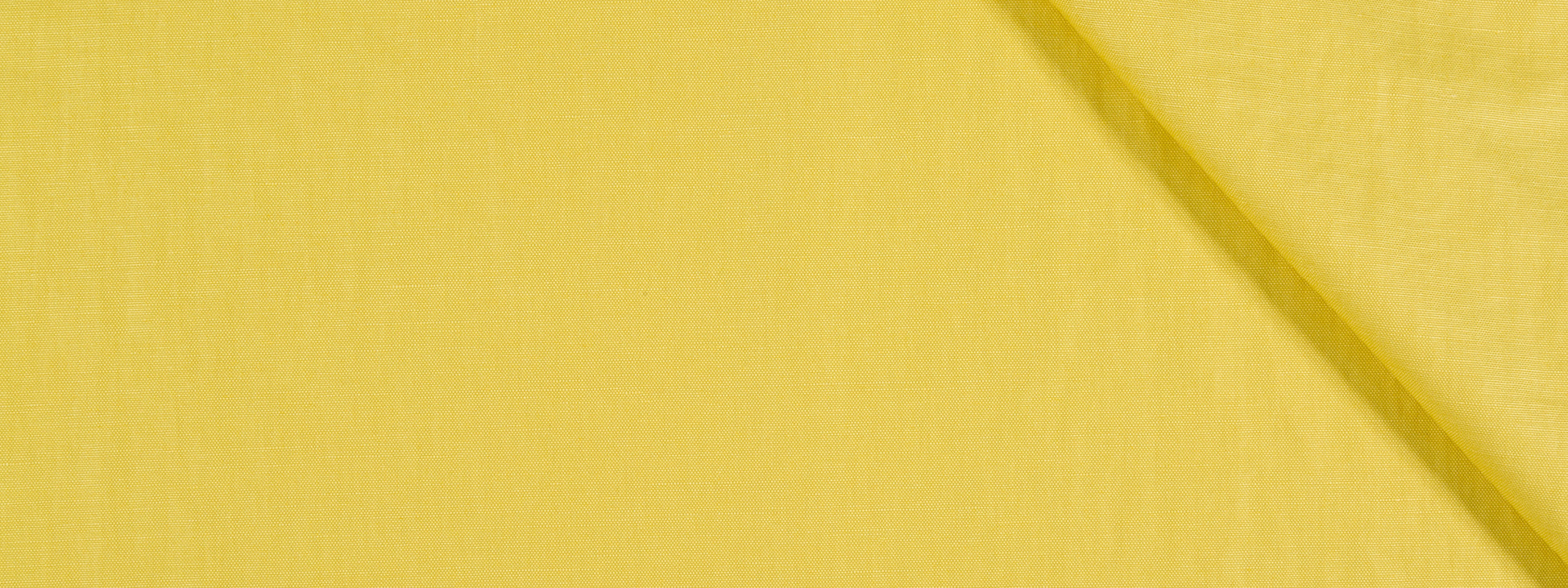 Regency Chintz | Citrine