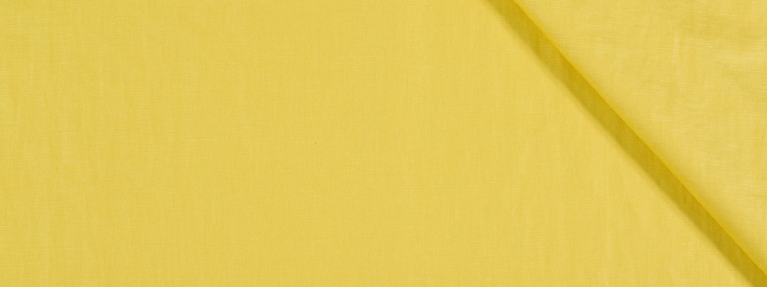 Regency Chintz | Citrine