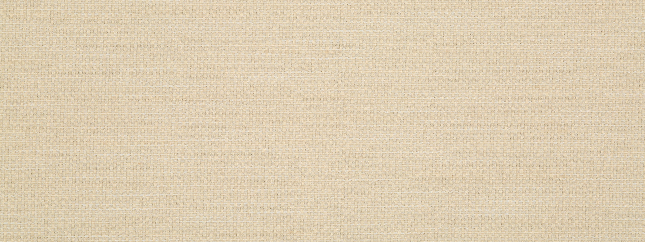 PRIMOTEX BK | IVORY