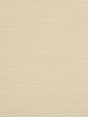 PRIMOTEX BK | IVORY