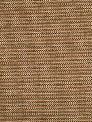 PRIMOTEX BK | TAUPE