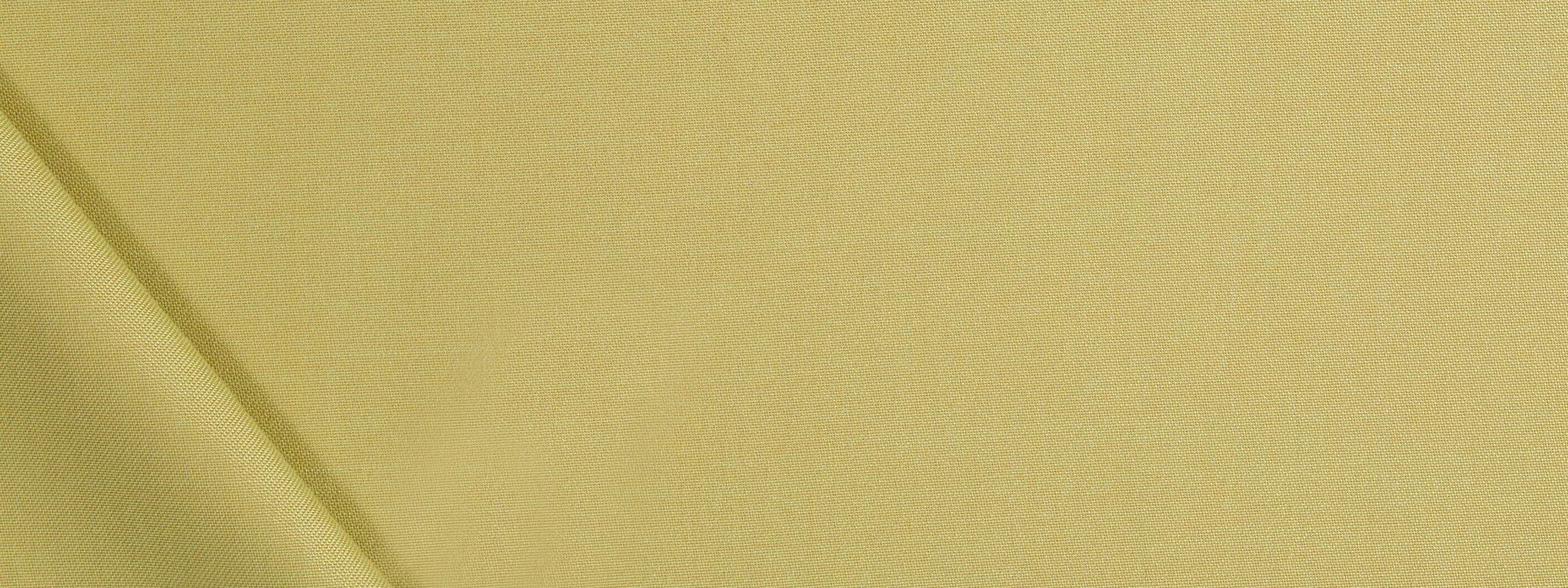 PLAIN FIELD | LEMONGRASS